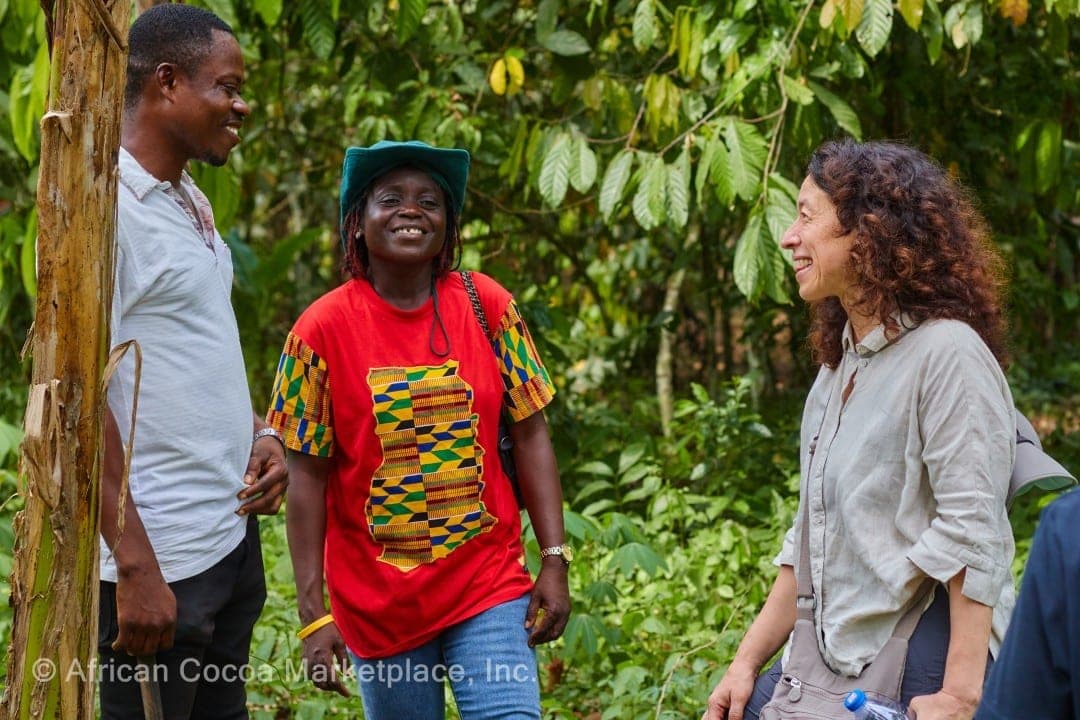 Data Culture in Africa